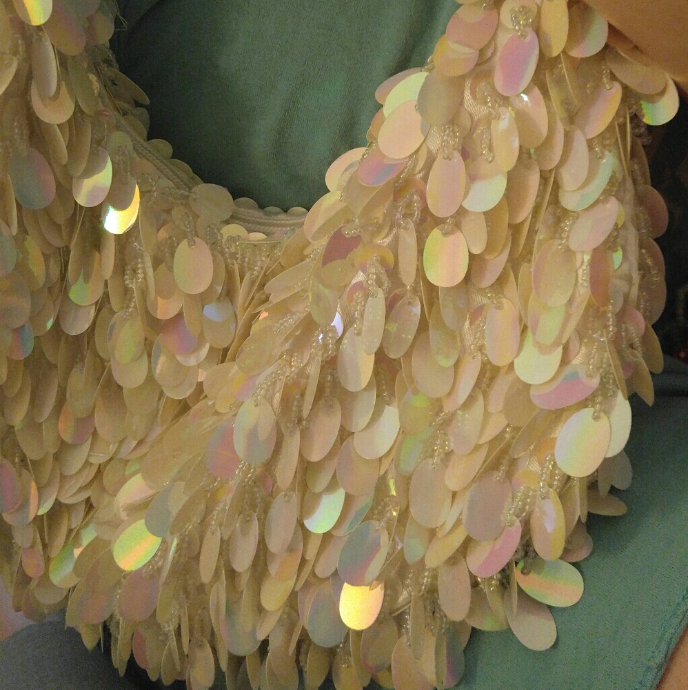 Hobo iridescent purse
